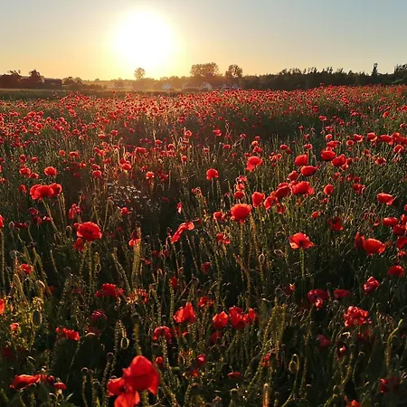 Rugapart Apartmán *