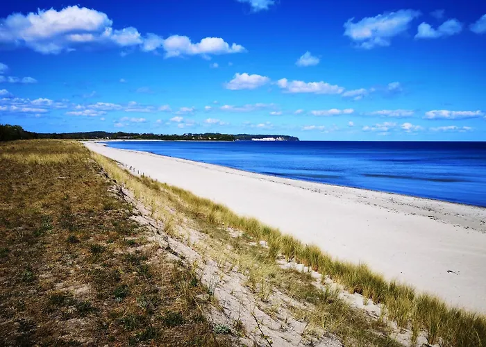 Rugapart 密德海根